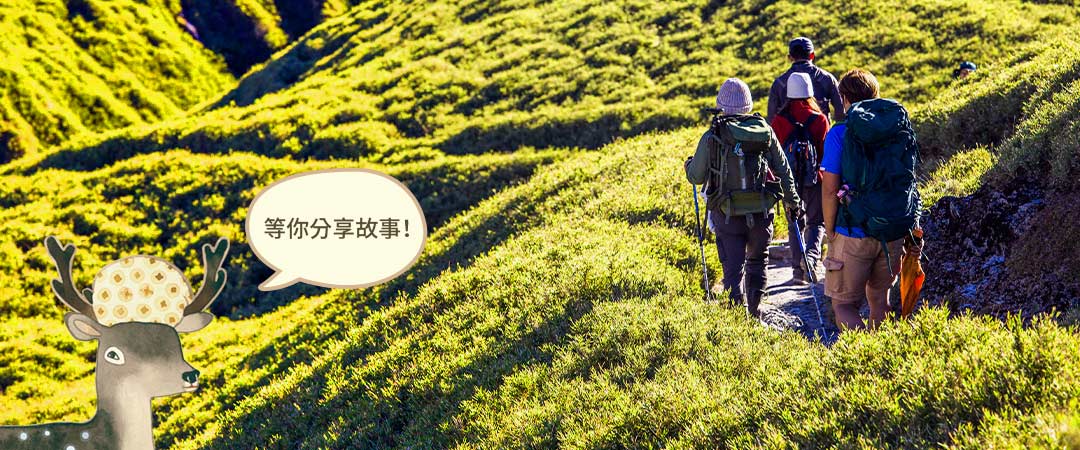 我要投稿
