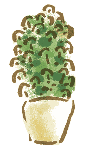 植物